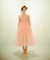 Back velt tulle dress(3月下旬)